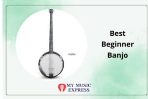 Best Beginner Banjo