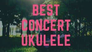 Best Concert Ukulele