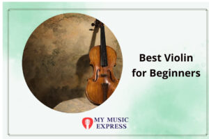 Best Violin for Beginners