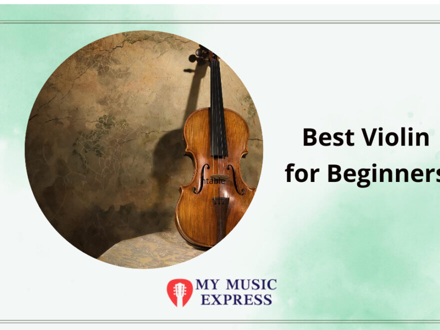 Best Violin for Beginners