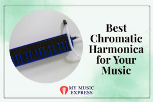 Best Chromatic Harmonica for Your Music