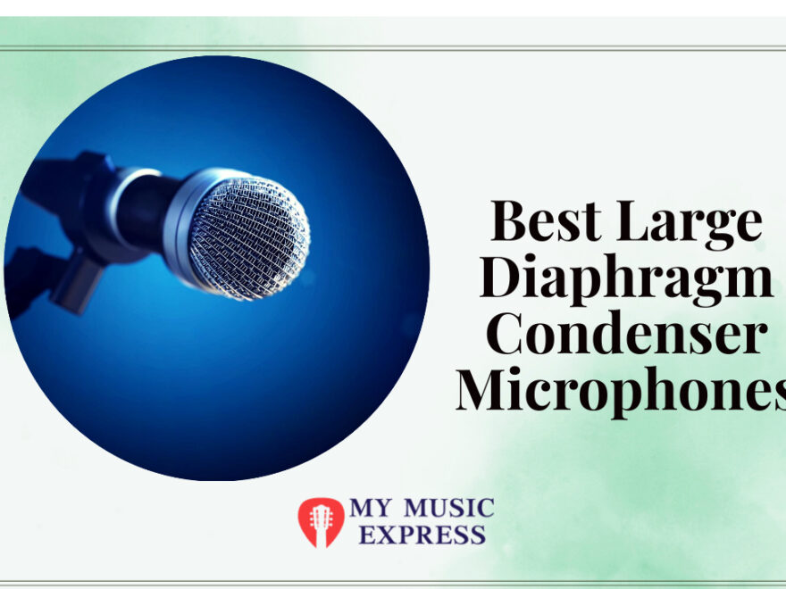 Best Large Diaphragm Condenser Microphone