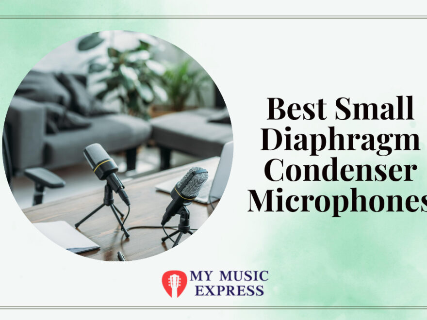 Best Small Diaphragm Condenser Microphones