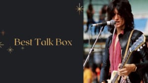 Best Talk Box
