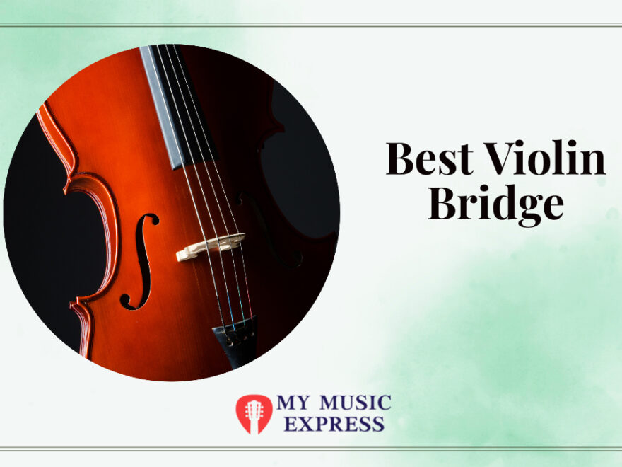 Best Violin Bridge