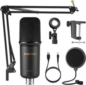 best mic for under 100