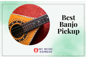 Best Banjo Pickup
