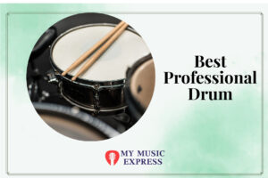 Best Professional Drum