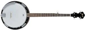 Ibanez B-150 5 string banjo
