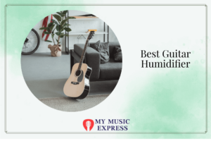 Best Guitar Humidifier