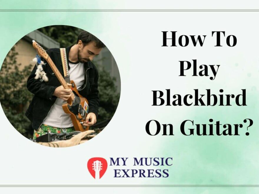 How-To-Play-Blackbird-On-Guitar-1 (1)