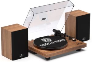 angels horn turntable reviews
